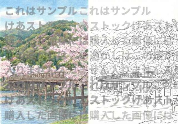 【大人の塗り絵】京都・嵐山「渡月橋と桜並木」（見本付き・高画質データ）