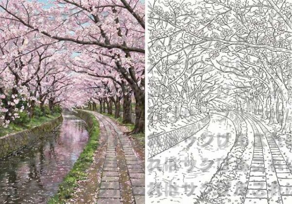 【大人の塗り絵】哲学の道・桜のトンネル（見本付き・高画質データ）